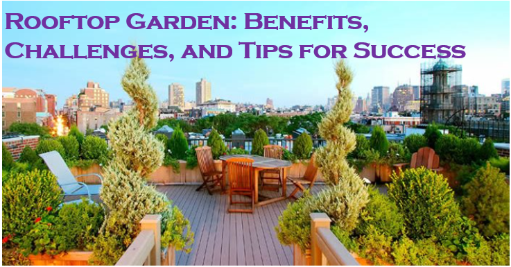 Rooftop Garden: Benefits, Challenges, and Tips for Success